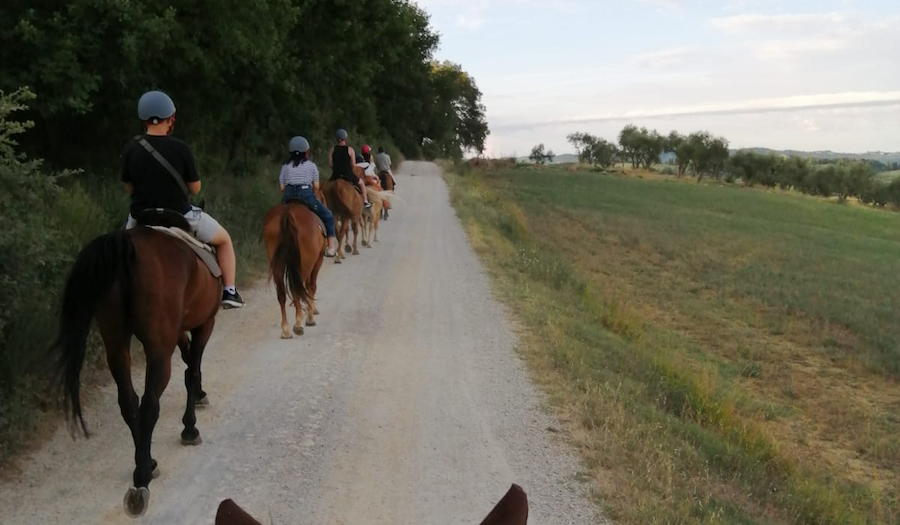 Horseback riding<br> in Chianti – Tuscany